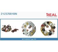 21237001BN REAL Supporto, Spazzole in carbone