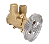 21419376 22901578 Pompa for acqua di mare grezza for motore marino for barche compatibile con raffreddamento motore Volvo Penta D6 successivo OEM precedente 22000061 3887761