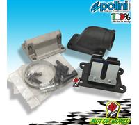 215.0410 ASPIRAZIONE LAMELLARE BIG VALVE MBK BOOSTER 50 NEXT GENERATION