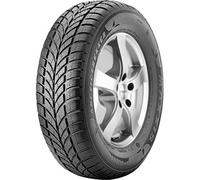 215/40 R17 87 V MAXXIS - WP-05 ARCTICTR.