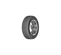 Delinte DS2 ( 215/45 R17 91W XL )