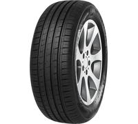 215 55 16 MINERVA F209 XL 97W