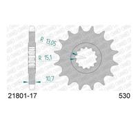 2180117 - Pignone Afam 17 denti, Yamaha Fazer 1000, FZ1, FJ/XJ/XJR, R1 98 14, MT