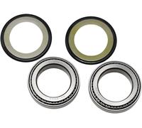 22-1031 CUSCINETTI/GUARNIZIONI CANNOTTO PER SUZUKI VZ 1600 MARAUDER 2004