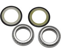 22-1031 CUSCINETTI/GUARNIZIONI CANNOTTO VN 1500 FI VULCAN CLASSIC TOURER 2000