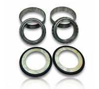 KIT 2 CANDELE ACCENSIONE NGK DCPR8E 4339 PER FIAT PUNTO 1.0 DUCATI MONSTER 600