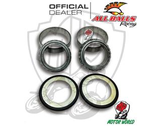 22-1031 KIT CUSCINETTI CALOTTE PARAPOLVERE DI STERZO