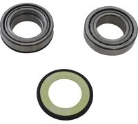 22-1055 KIT CUSCINETTI A RULLI CONICI E PARAOLI CANNOTTO DI STERZO FZS 1000 2009