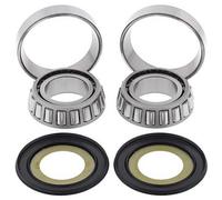 CUSCINETTI TESTA TELAIO CON GUARNIZIONI BMW G450 '08-'11, HARLEY DAVID