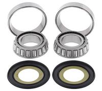 CUSCINETTI TESTA TELAIO CON GUARNIZIONI BMW G450 '08-'11, HARLEY DAVID