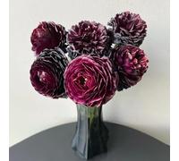 22 pezzi bulbi granuli - bulbi in primavera, Los de son perenni, resistenti, in resistenti, perenni,