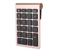 22 Tasti Tastie di Numeri Wireless, USB C Mini Numeric KeyPad RF304 2.4G Tastie per Laptop con Ricevitore, Laptop Contabile di contabilità Finanziaria Numpad Portatile, Notebook, Grigio Iron Desktop