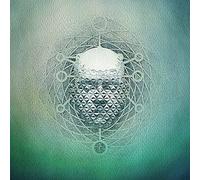 22 - You Are Creating: Limb1