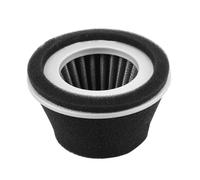 220-32600-08 220-32601-07 220-32602-07 226-32610-07 Filtro aria for motori orizzontali da 3, 3,5 e 5 CV(1 PC)