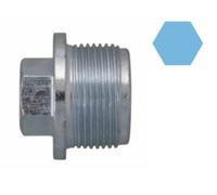 220152S CORTECO Vite di chiusura, vaschetta dell'olio per AUDI,SEAT,VW