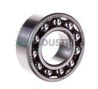 2205EKTN9 SKF 25 x 52 x 18 mm SELF ALL. BALL DOUBLE ROW Cuscinetto a sfere au...