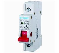 220V 40A INTERRUTTORE SEZIONATORE, MODULARE, MONOFASE, IP20, 1P, 1 MODULO, MONTAGGIO SU BARRA DIN, INTERRUTTORE DI ISOLAMENTO, 230V 240V AC, MONOFASE