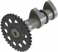 Albero a camme aspirazione Arctic Cat DVX 400 2004-2008 HOT CAMS 2249-1IN