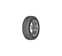 DELINTE DS2 225/40 R18 92W Estive