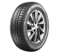 Sunny Wintermax NW211 225/50R17 98V XL