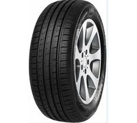 Minerva F 209 225/60R16 102V XL