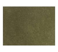 2274879 noch 0007122 erba selvatica marrone