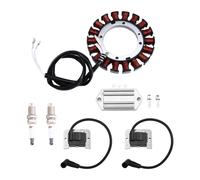 234859 237329 Nuovo statore da 15/20 Amp con regolatore per