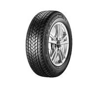 235/60 R17 WT PRO 2 106H XL EB272 GT Cod:56446 235x60x17