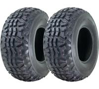 23x11.00-10 Quad Atv Pneumatici Kawasaki Mule Wanda P3077 Utilità 755kgs (Set 2)