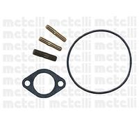 24-0499 METELLI Pompa acqua per IVECO,RENAULT