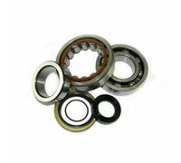 24-1105 KIT CUSCINETTI ALBERO MOTORE KTM XC-FW 250 250cc 2006-2007 ALL BALLS