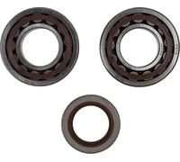 24-1106 KIT CUSCINETTI E PARAOLI ALBERO MOTORE KTM SXS 540 RACING 2001