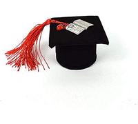 24 Cappello Laurea Nero in cartoncino Vellutato Applicazione in Metallo Silver Libro e Coccinella Rosso Bomboniera Porta Confetti Tocco 7 x 7 x 4,5 cm
