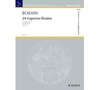 24 Caprice Etudes, Op. 26: Solo Flute