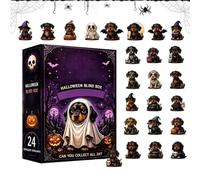 24 Days Advent Halloween Dachshund - 2D Acrylic Dog Decoration Countdown