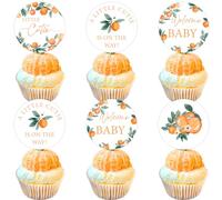 24 decorazioni per cupcake Little Cutie, bastoncini arancioni per cupcake, decorazioni a tema agrumi, decorazioni per baby shower, forniture per feste a tema mandarino e clementine