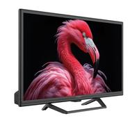 24 HD READY T2/S2/C GOOGLE TV 12220