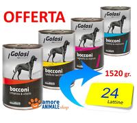 24 LATTINE - GOLOSI Dog Bocconi, Lattine 1250 gr → GUSTI Vari - Umido Cane Cani