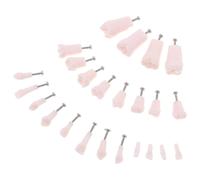 24 Pcs Denti Da Insegnamento Tipodonte Modello Di Dente Rimovibile Dei