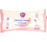 CLENDY SALV INTIME DELICATE X 12