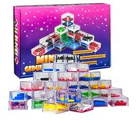 24 Pezzi Giochi di Pazienza Mini Rompicapo Educativo, Gioco di Abilità per Bambini e Adulti