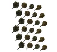 24 Pezzi Miniatura di Cespugli con Base e Terreni | Plastica, Montaggio Semplice, Passaggio Naturale del Livello, Miglioramento Realistico, Scenari Militari