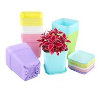 24 Pezzi Vasetti Plastica per Piantine, 7 x 7 x 8 CM Vasi Colorati da Esterno, Mini Vasi per Piante con Pallet, Vaso Quadrato Vasetti Piccoli per Piantine, Vasetto in Plastica per Piante Piccole