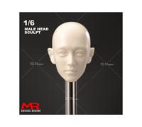 (24) Testa scolpita in scala 1/6 di Brad Pitt, Tom Cruis, Arnold, Paul Walker, Ronaldo, Bruce Willis,