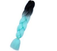 24" Trecce sintetiche Capelli Ombre Intrecciare i capelli Jumbo Treccia Estensione dei capelli per le donne Cento colori Capelli fai da te-B16-24 pollici-CINA