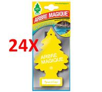 24 X Arbre Magique Mono Mediterraneo Agrumi Di Capri