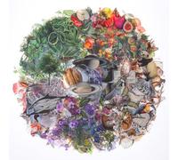 240 adesivi vegetali per scrapbooking a tema natura adesivi trasparenti pretagliati libro impermeabile per scrapbooking flora e fauna vintage estetica decorativa decalcomania per diario spazzatura