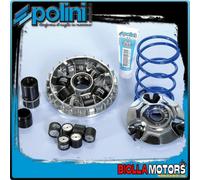 241.713 VARIATORE HI-SPEED POLINI 19X17 MALAGUTI MADISON 125 3 (Piaggio)