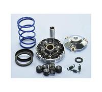 241.737 - Variatore Hi-Speed Liberty 50