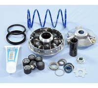 Variatore POLINI Evolution® 2 Minarelli D.16 (Antico pln241708/241728) per